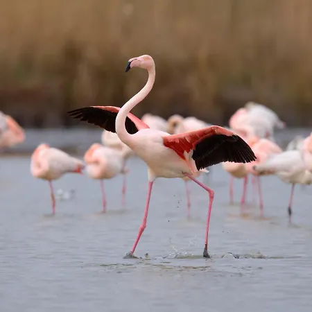 Le Nirvana-1 By Interhome